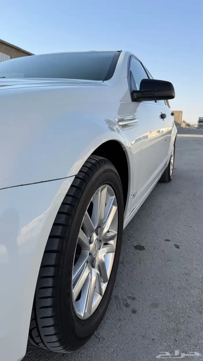 كابرس 2013 6