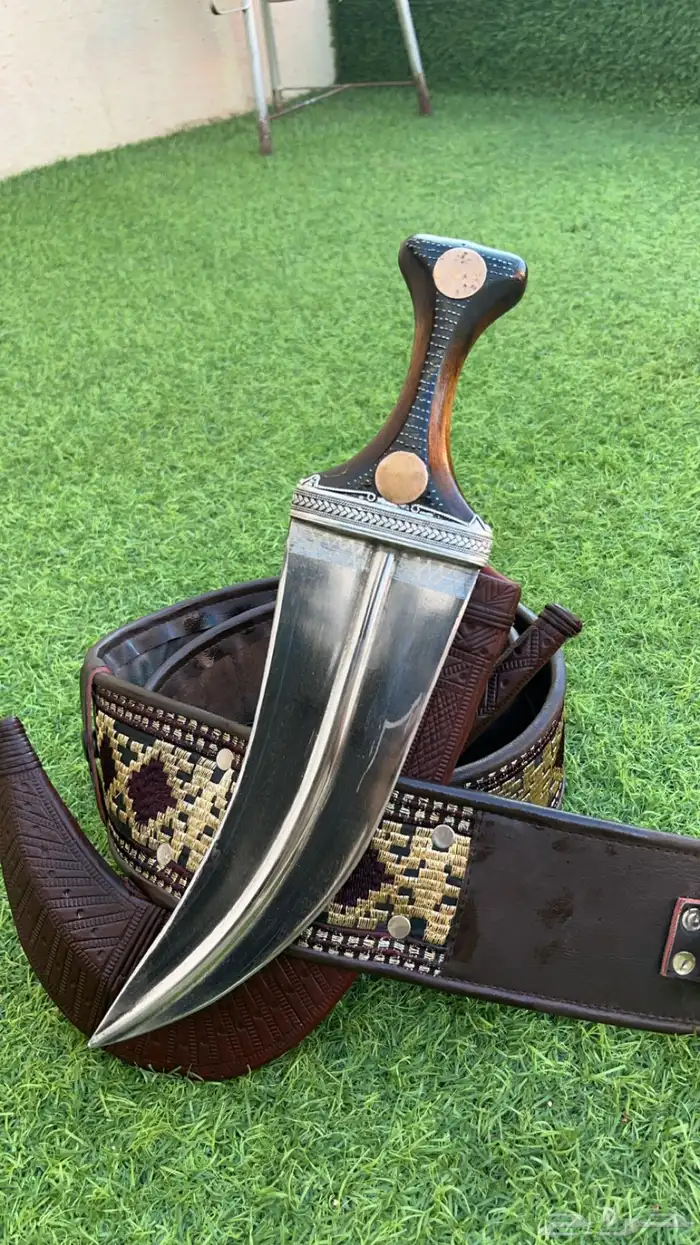 جنبيه 14