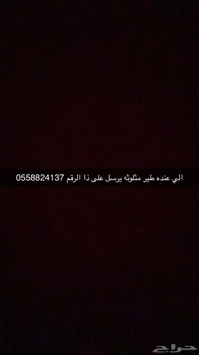 الي عنده طير مثلوثه يجي 0