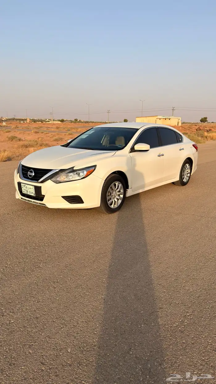 التيما 2018 ستاندر 24