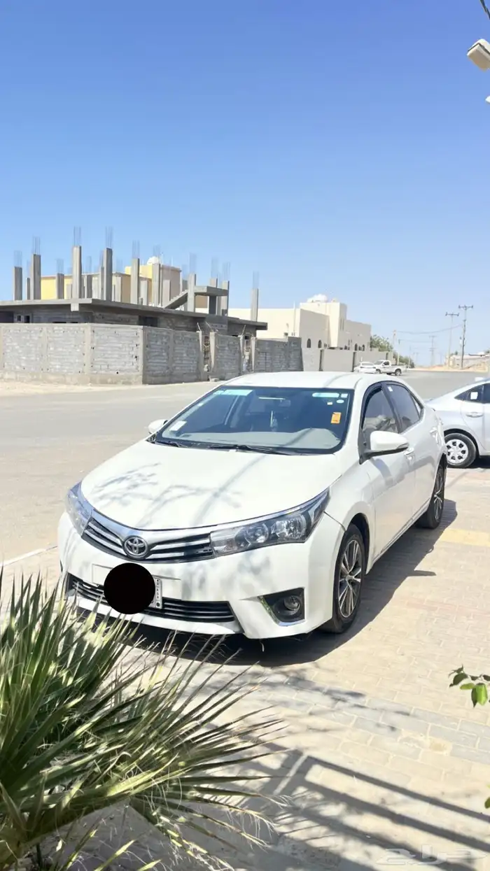 كورلا 0