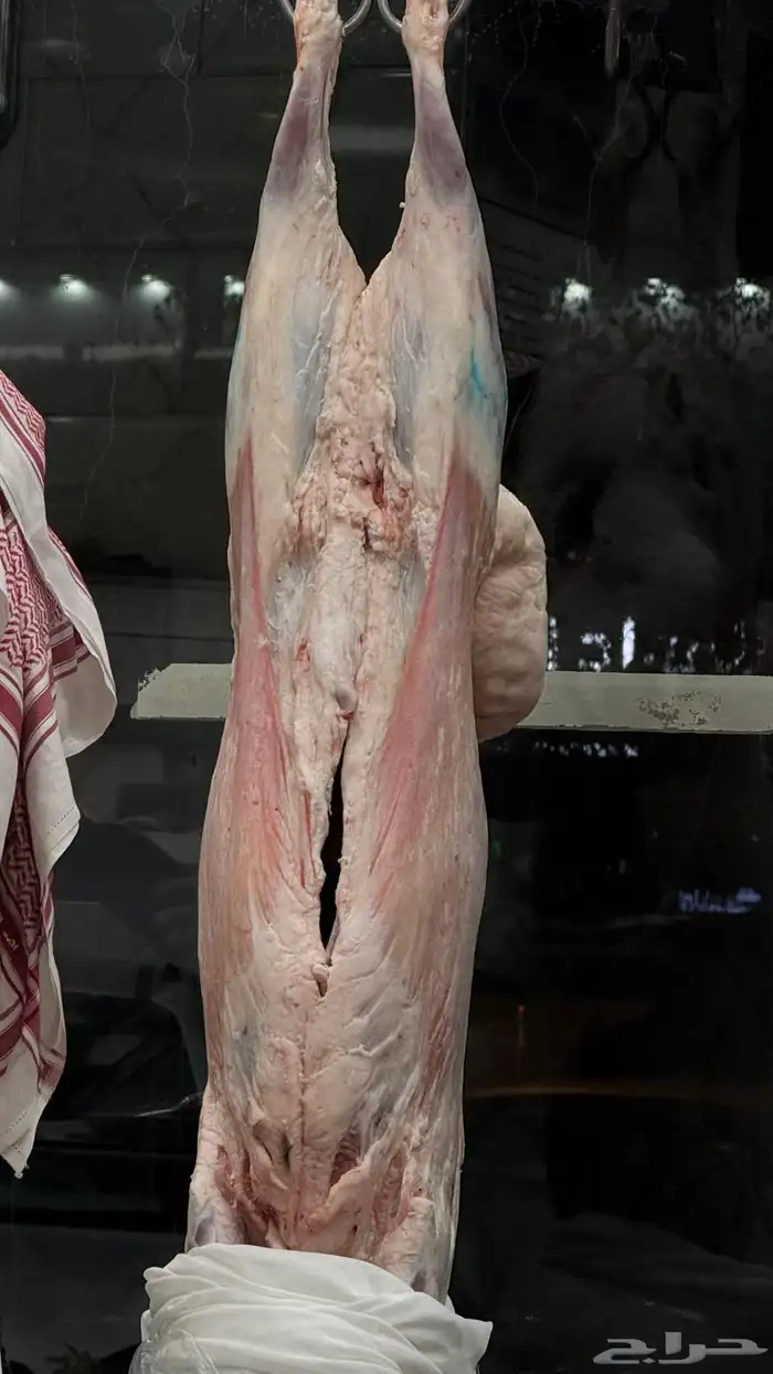 نعيمي بلدي سواكني نعيمي هرافي حري 3