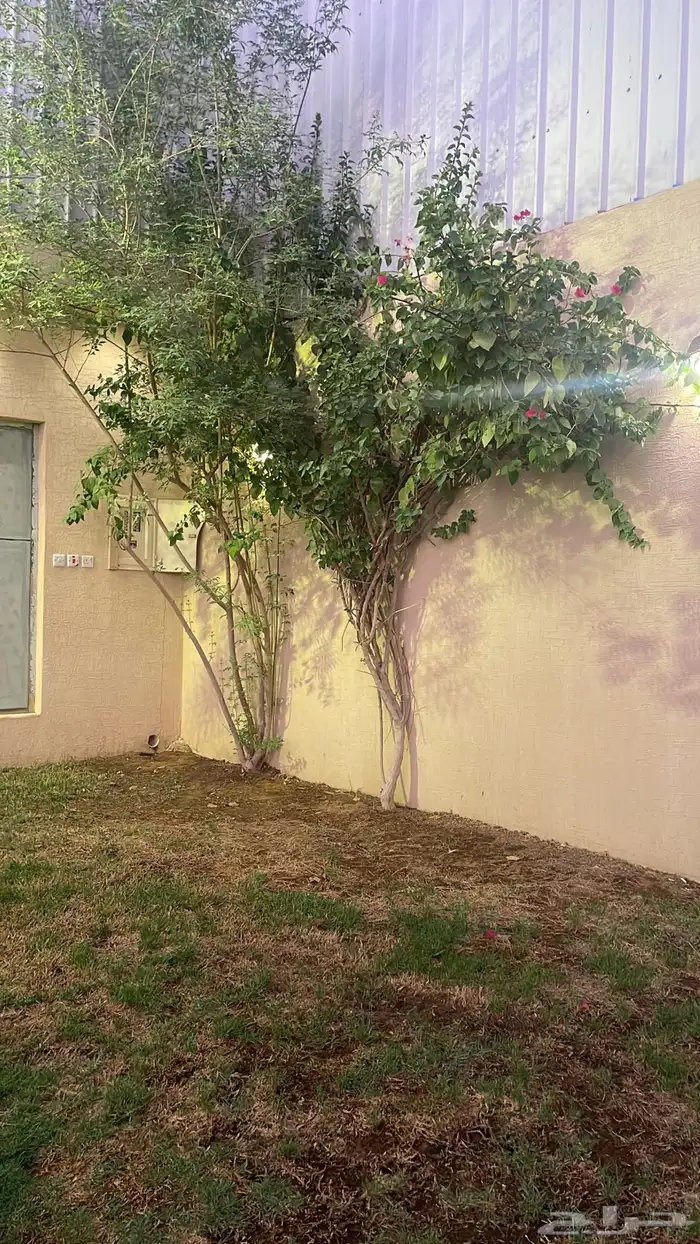 شاليه للأيجار بالمهدية مخرج 35 10