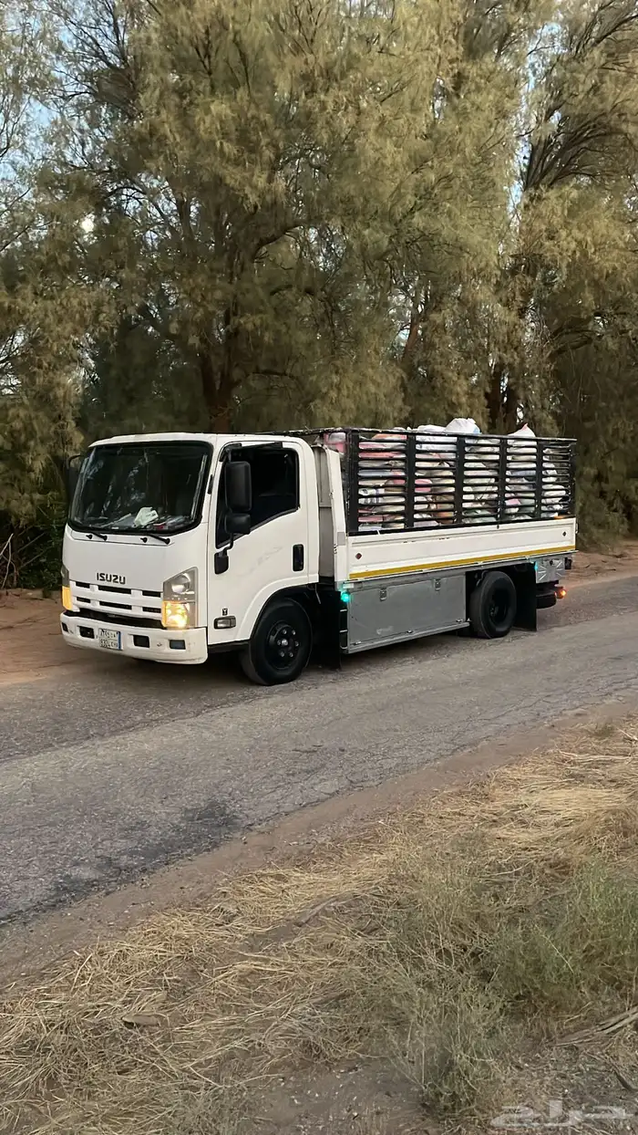 دينا نقل تمر 0