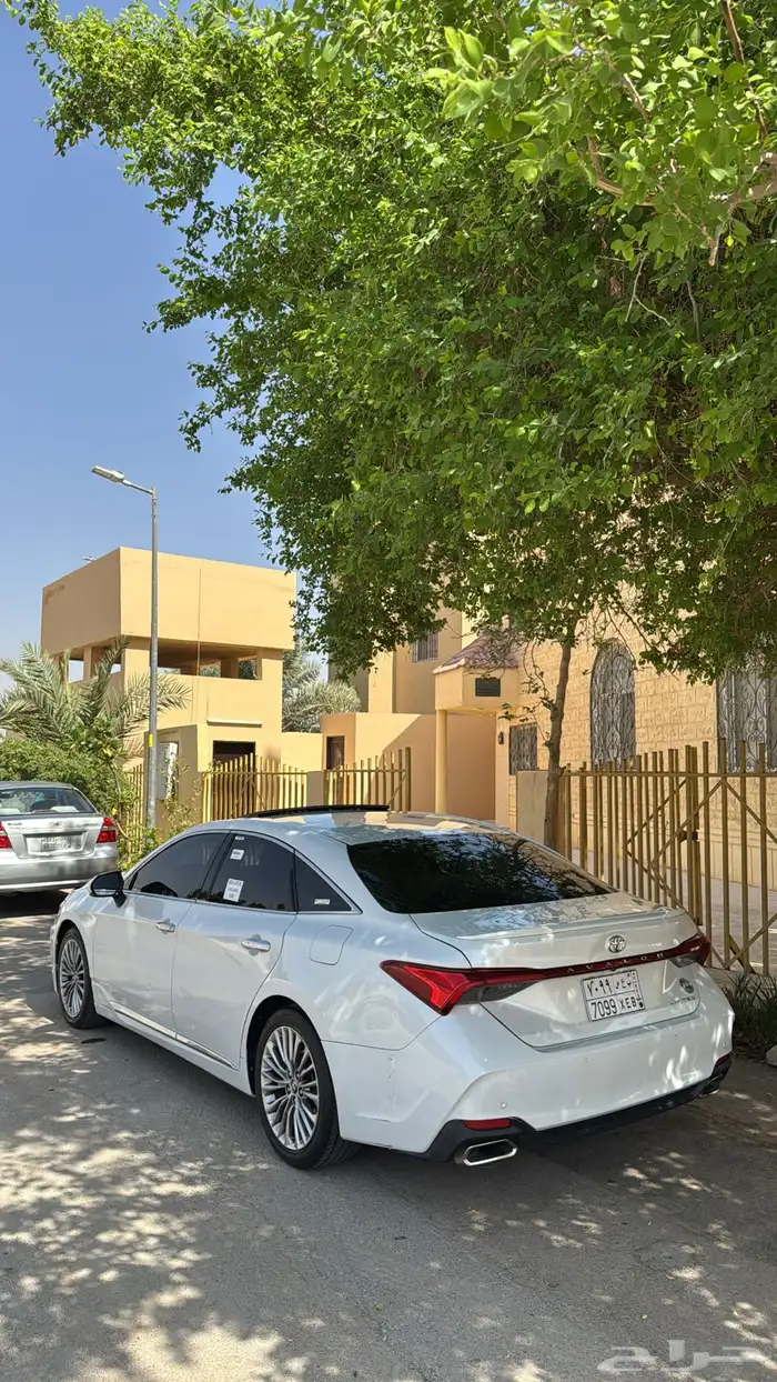 افالون لميتد 2019 3