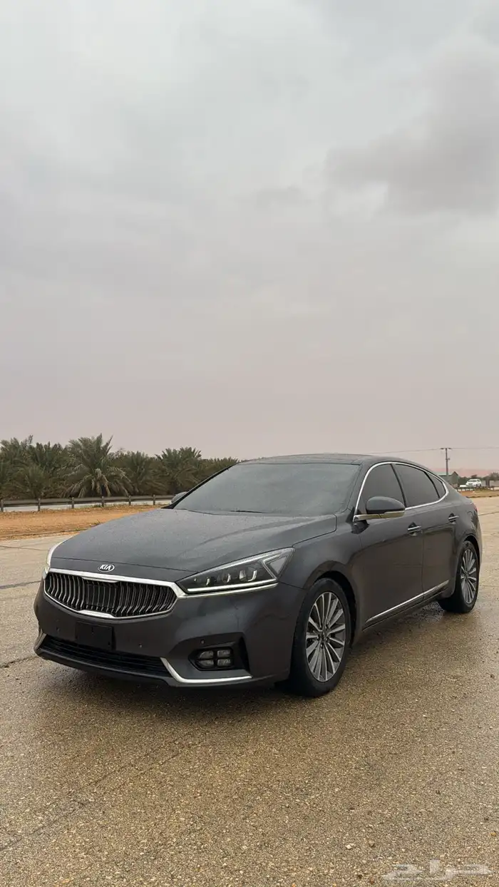 كادينزا 2018 1