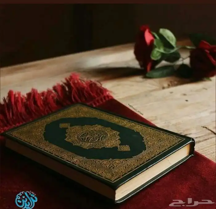 معلم قرآن وتأسيس 0