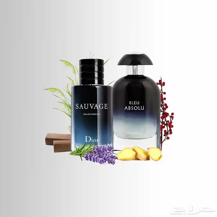 عطور شنط يد 17