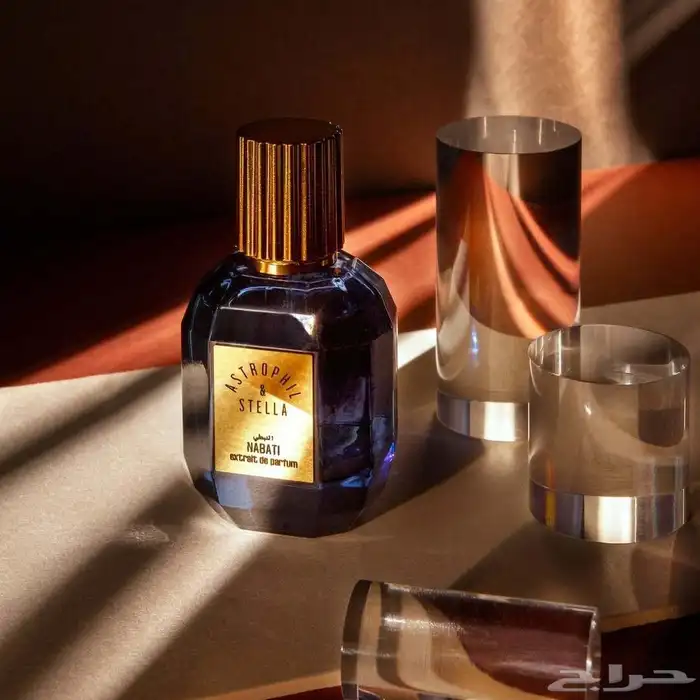 عطر أستروفيل آند ستيلا نبطي 50 مل Astrophil Stella Nabati 0