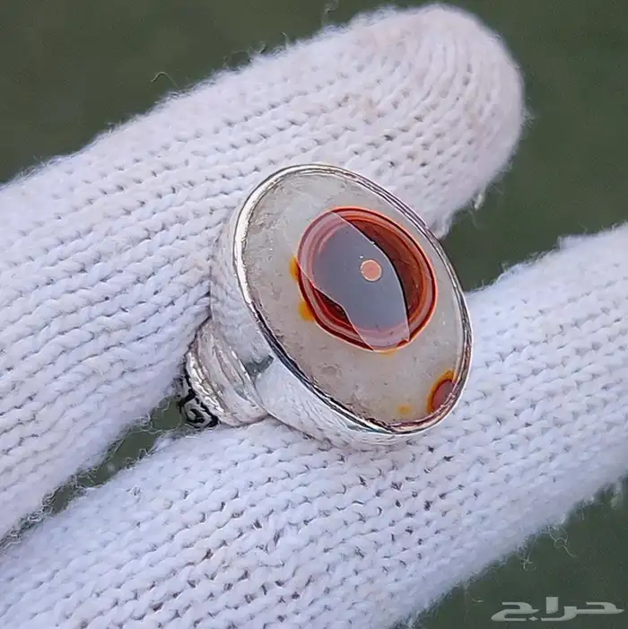 تم البيع - سليماني هندي مميز عين حمراء 0