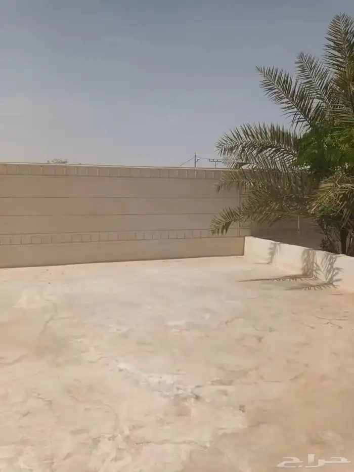 الخرج الهياثم العفجه نجديه الرحمانيه الشديده الرفايع العتيق 0