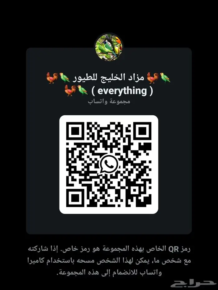 مزاد الخليخ للطيور حياكم الله نتشرف بالجميع 0