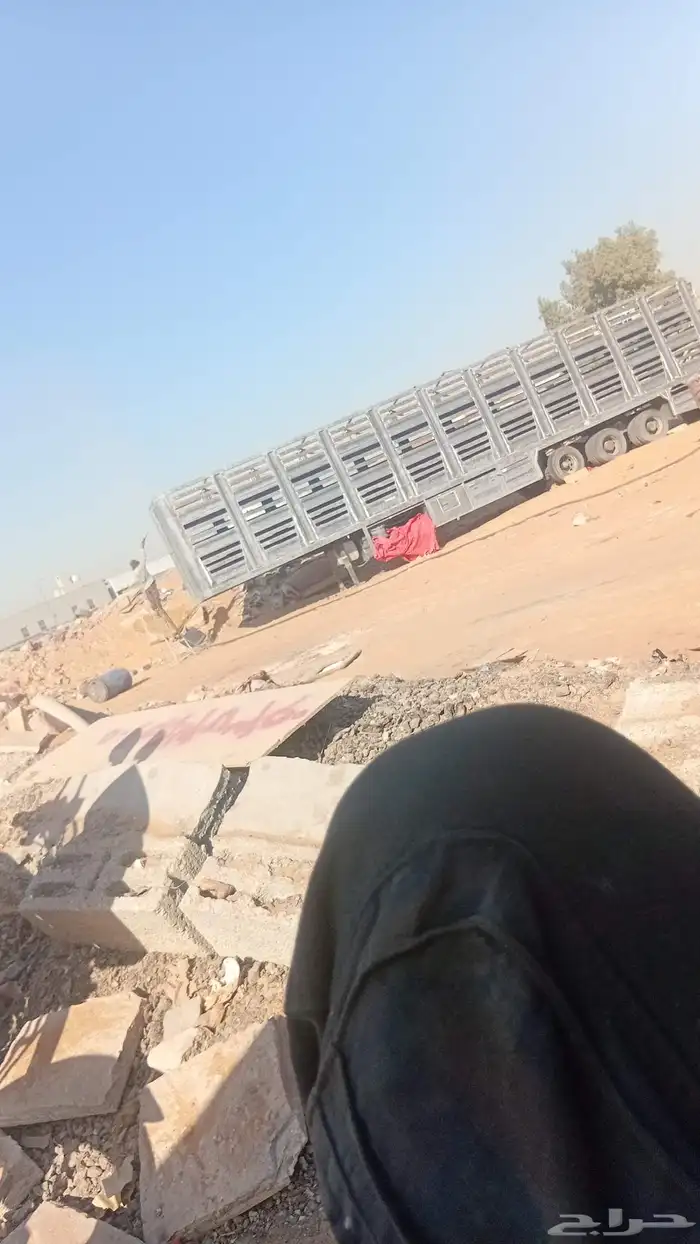 االريض السلي 0