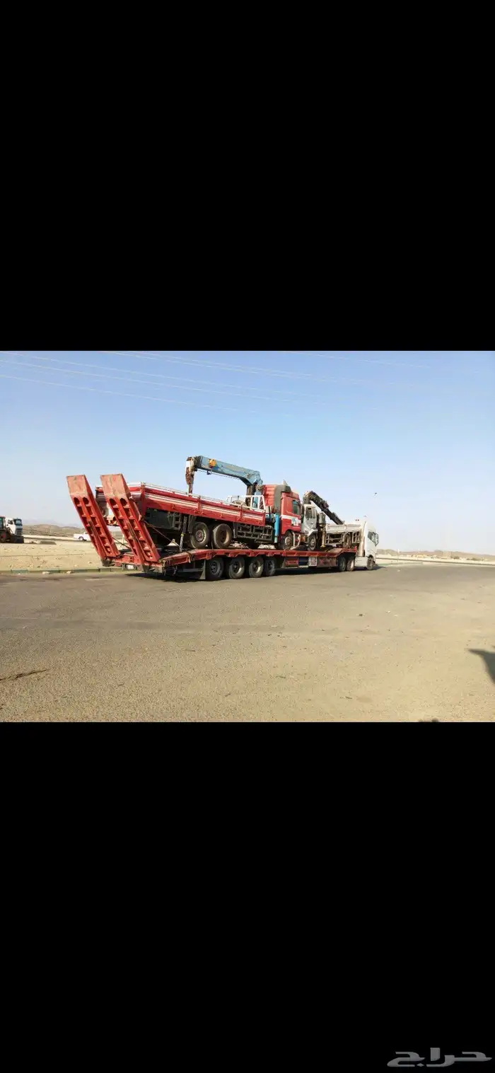 لوبد متواجد في الشعبه حفر الباطن رفحا 3