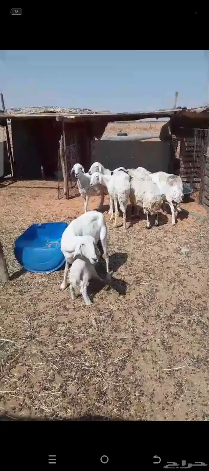 حريات دفيع 0