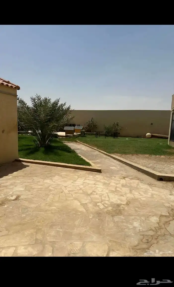 فندقة كلاب وقطط 1
