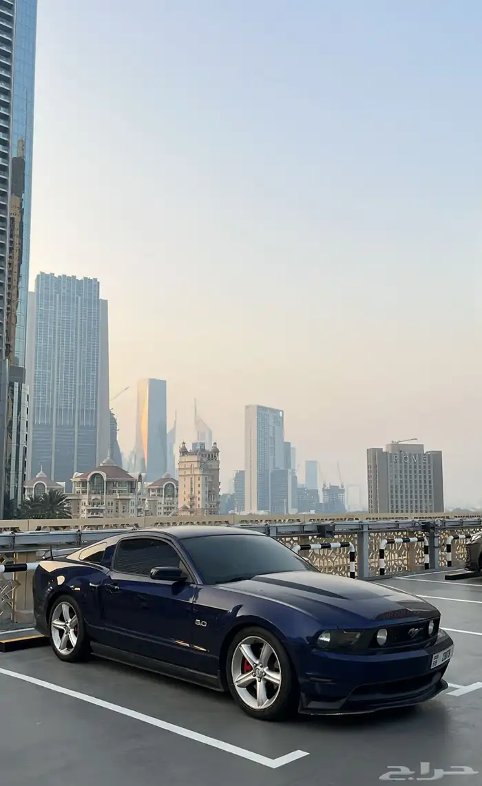 موستنج 2012 لوحات اماراتيه 1