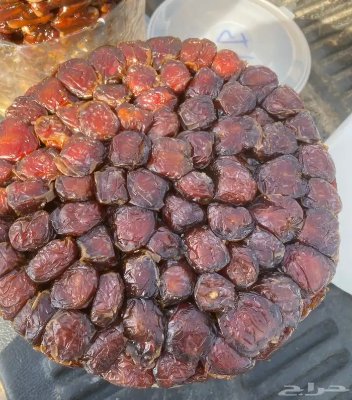 برني العيص 2