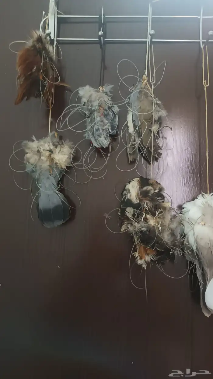 نقول للبيع لطرح الصقور شغل يدوي ماهو تجاري ا 0