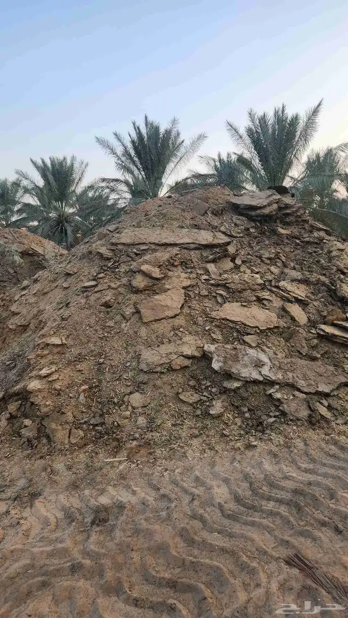 دمال سماد بقر 3