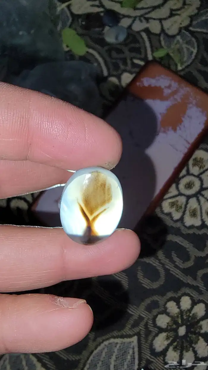 عقيق يمني مصور 1