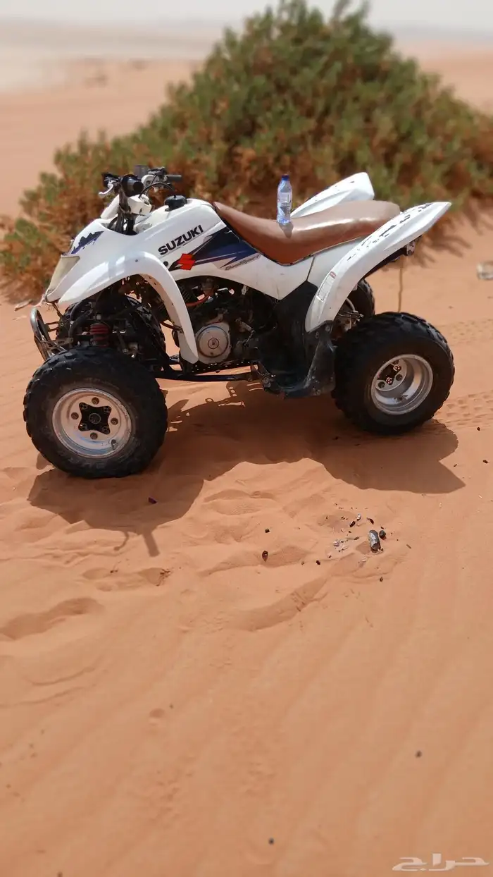 آجار جمال وا خيول وا دبابات بي اليوم وا الاسبوع وا الشهر 9