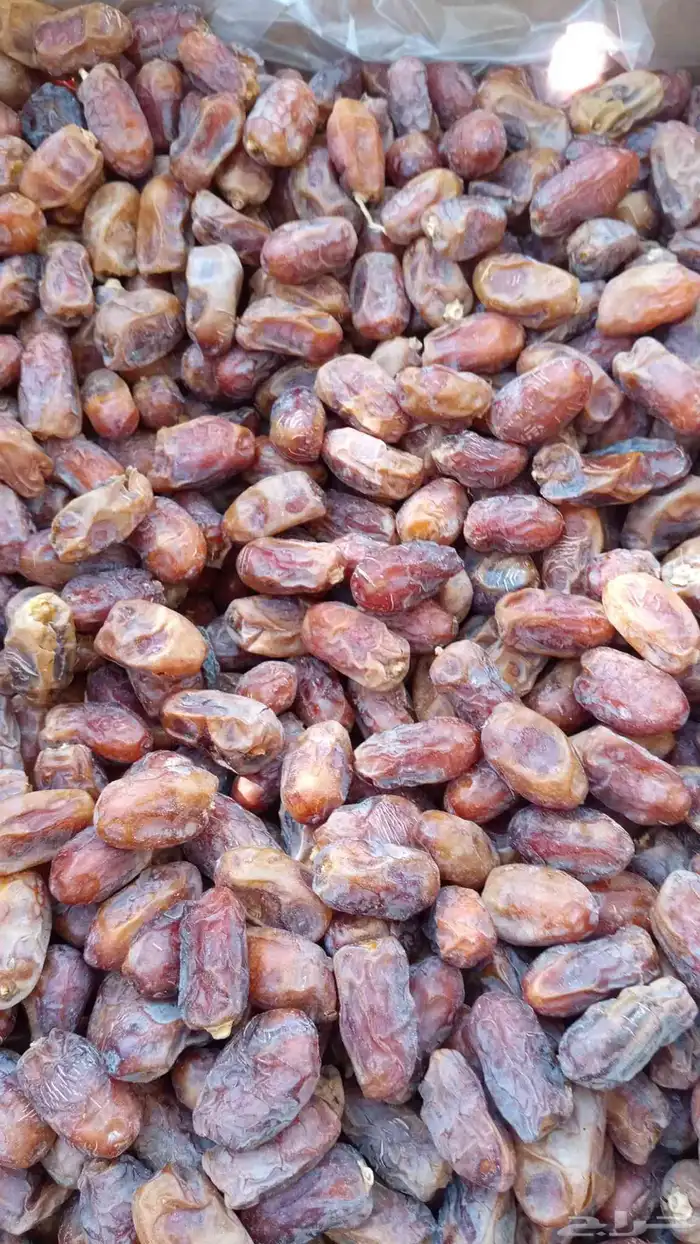 تمر خلاص للبيع كميه كبيره 0