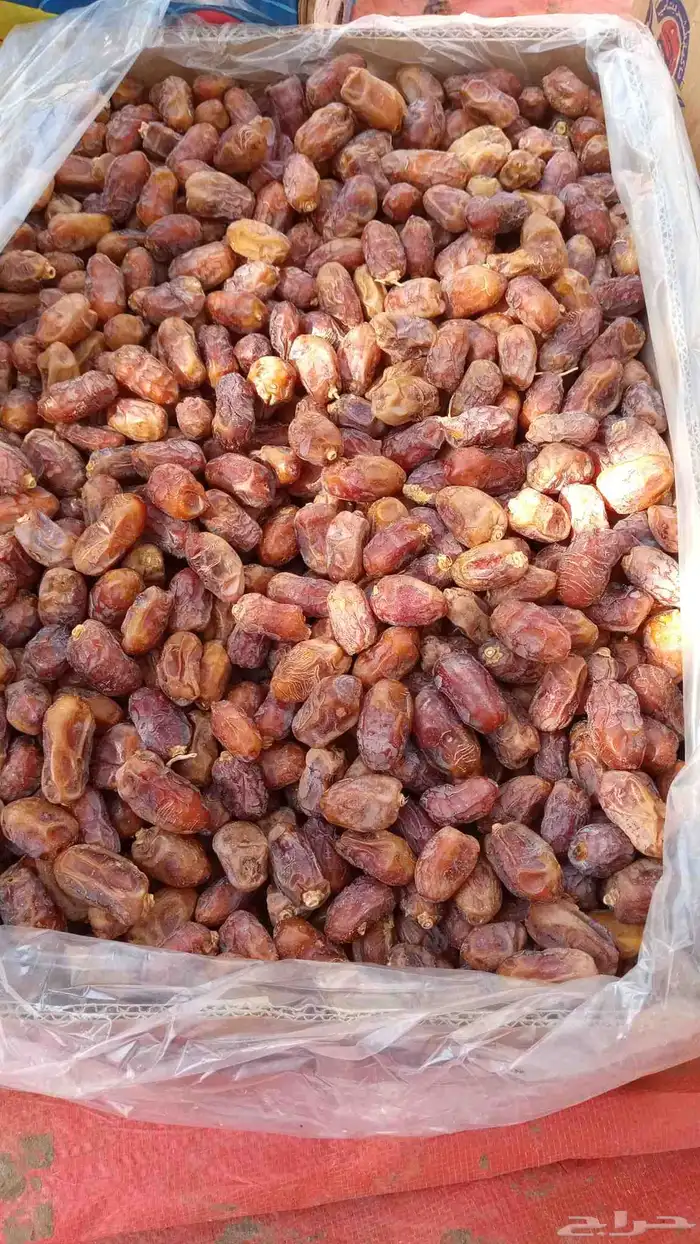 تمر خلاص للبيع كميه كبيره 1