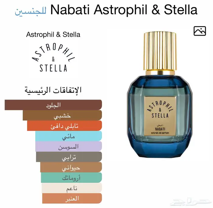 عطر أستروفيل آند ستيلا نبطي 50 مل Astrophil Stella Nabati 2