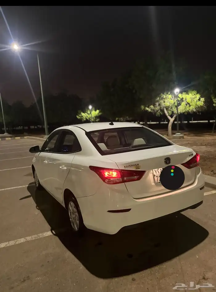 شانجان السفن 2020 1