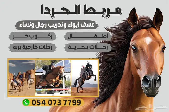 تدريب وتعليم ركوب الخيل   . 5