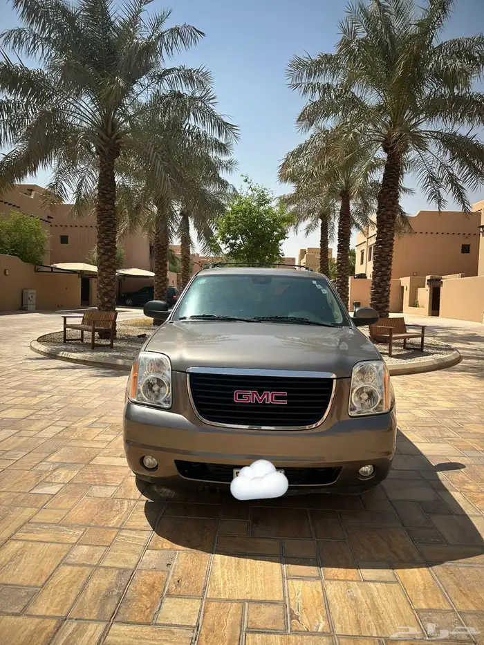 جمس2013 5