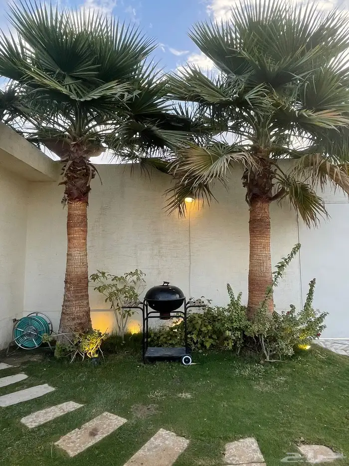 منسقة شاليهات الرياض 5