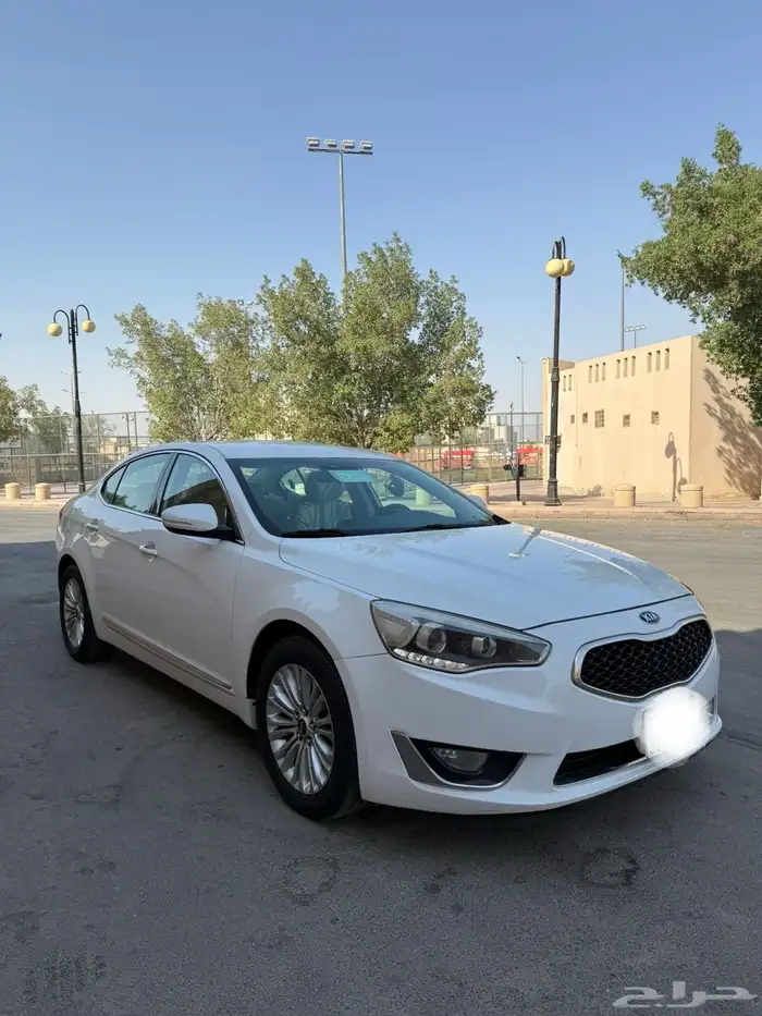 كادينزا 2016 ستاندر 1