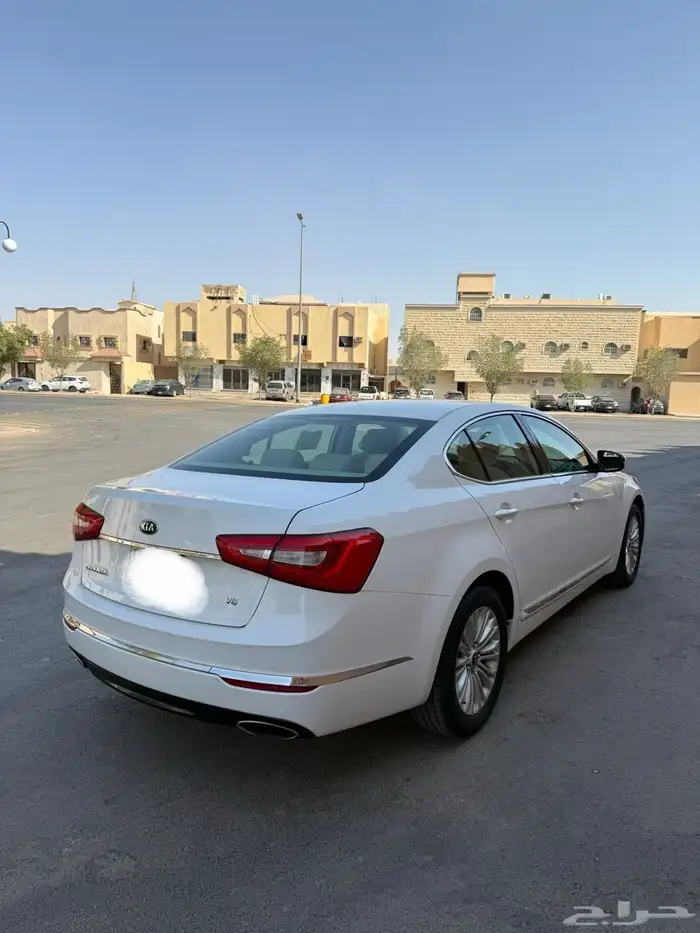 كادينزا 2016 ستاندر 2