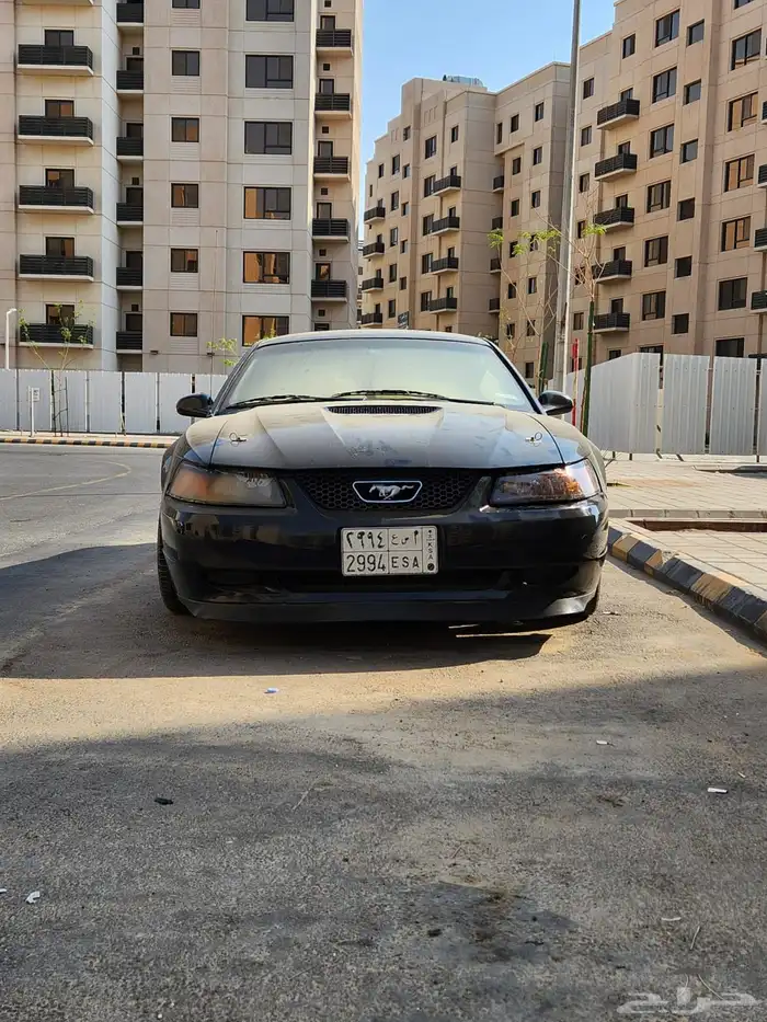 موستنق 2002 8 سلندر عادي 5