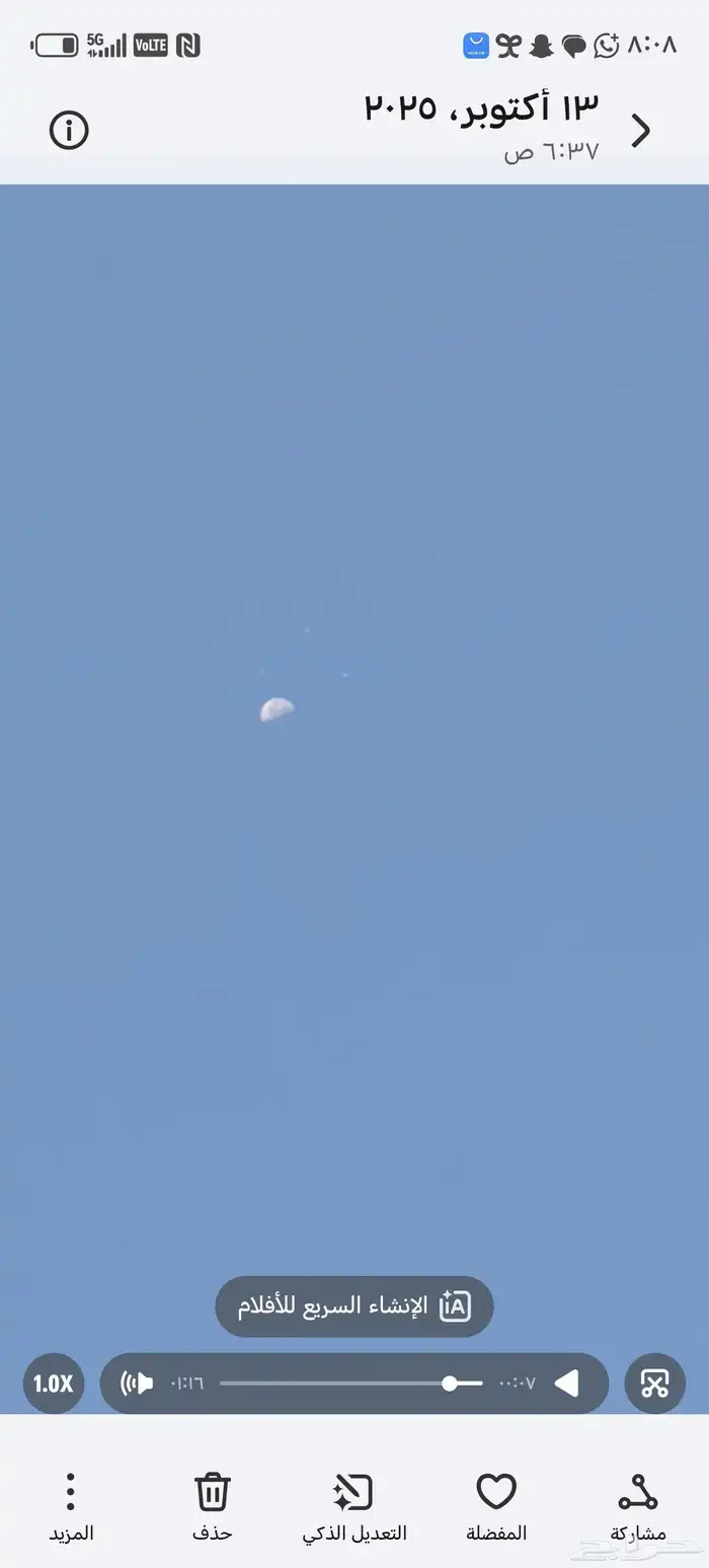 حمام باكستاني للبيع 3