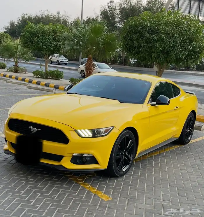 موستنج ايكو بوست 2016 V4 تيربو بودي بلد وارد سعودي 0