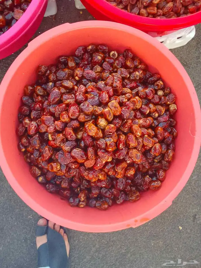 تمور حائل الفاخره 0