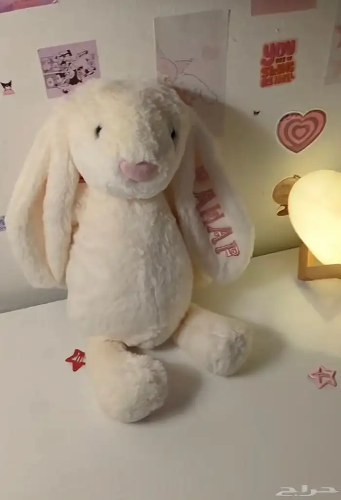 ارنب بالاسم مناسب للاهداء 0