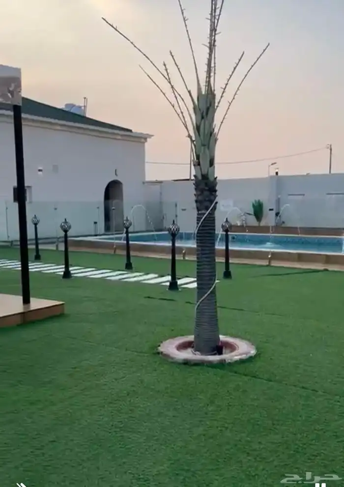 استراحه قسمين للبيع في اللحيانيه بجوار كبري الرويزن السعر 13