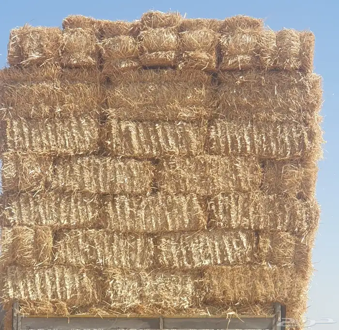 اعلاف 2