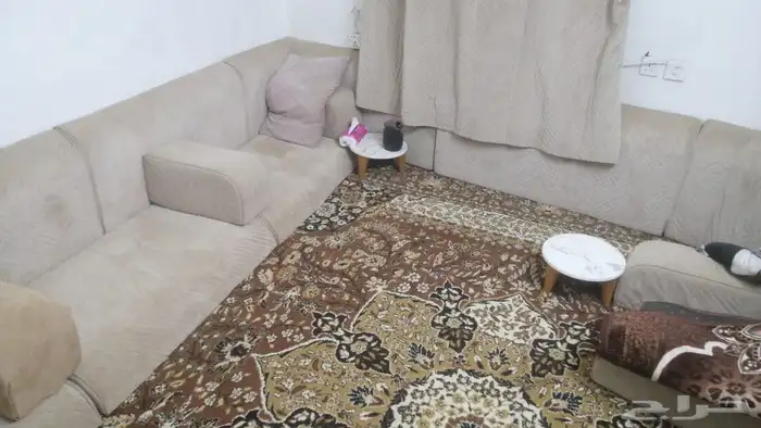 بيع اثاث ثلاجه وغساله وساخن وفرن ومكيفات وشاشه ومجلس عربي 7