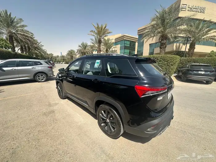 كابتيفا 2025 LS 3