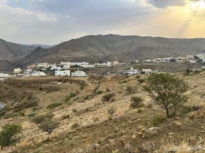 ارض زراعية 5