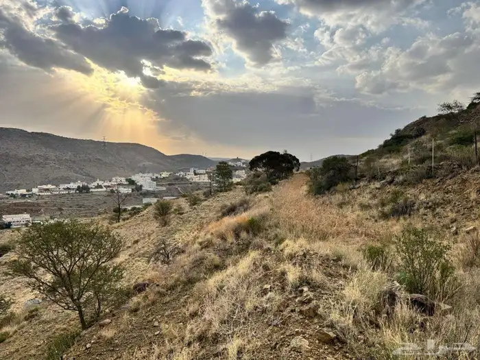 ارض زراعية 6