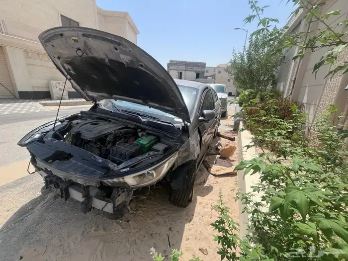 شيري اريزو 6 برو 2024 1