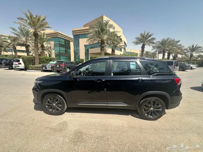 كابتيفا 2025 LS 4