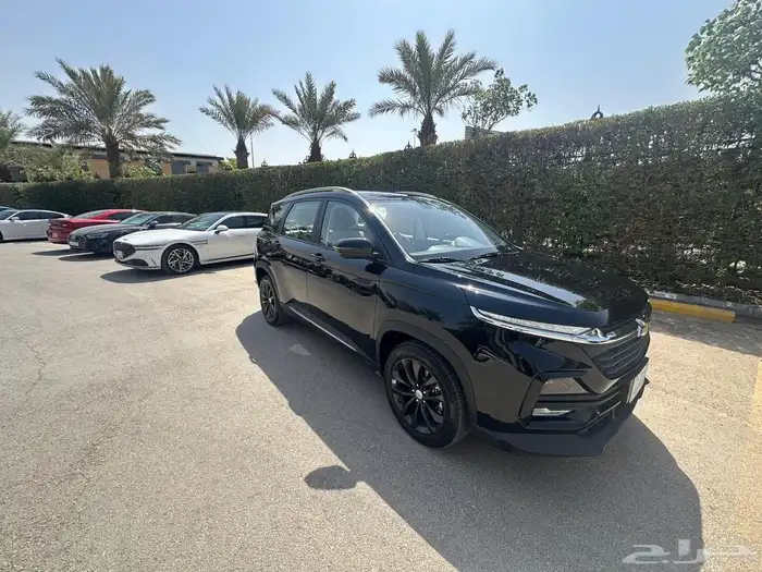 كابتيفا 2025 LS 2