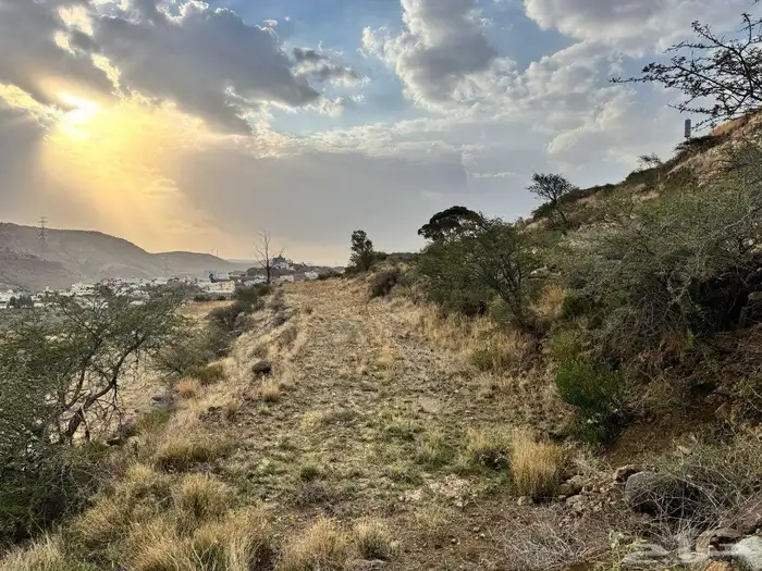 ارض زراعية 0